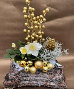 COMPOSITION DE PLANTES EXTERIEURES