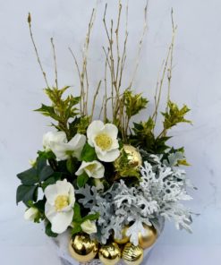 Composition de Roses de Noel <br> Ref : CEN002