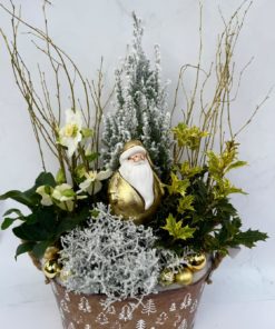 Compositions de Roses de Noel <br> Ref : CEN003