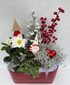 Composition Extérieure <br> Ref : CEN005