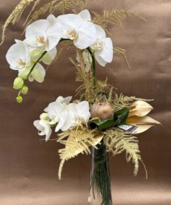 Bouquet de Noël Orchidée  <br> Ref : BQN008