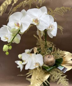 Alternative view of Bouquet de Noël Orchidée  <br> Ref : BQN008