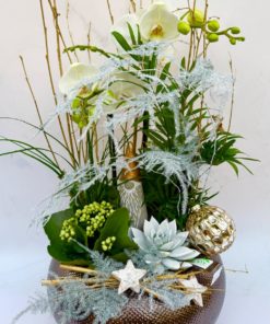 Compositions orchidée « Noël » <br> Réf : CIN005