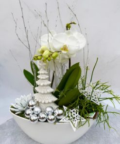 Compositions orchidée « Noël » <br> Réf : CIN009