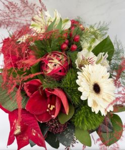 Alternative view of Bouquet de Noel Amaryllis & Poinsettia rouge<br> Ref : BQN015