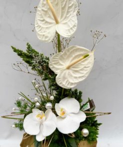 Composition Noel Anthurium & Orchidées<br> Ref : BQN021
