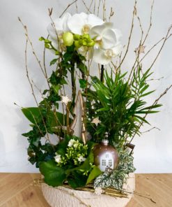 Compositions orchidée « Noël » <br> Réf : CIN012