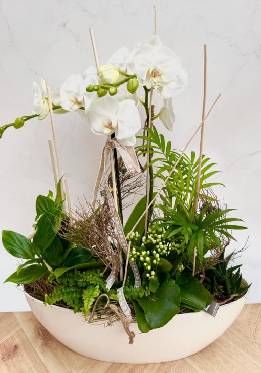 Composition Orchidée <br>CO001