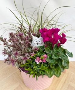 Composition Exterieure Automne<br> CEA07