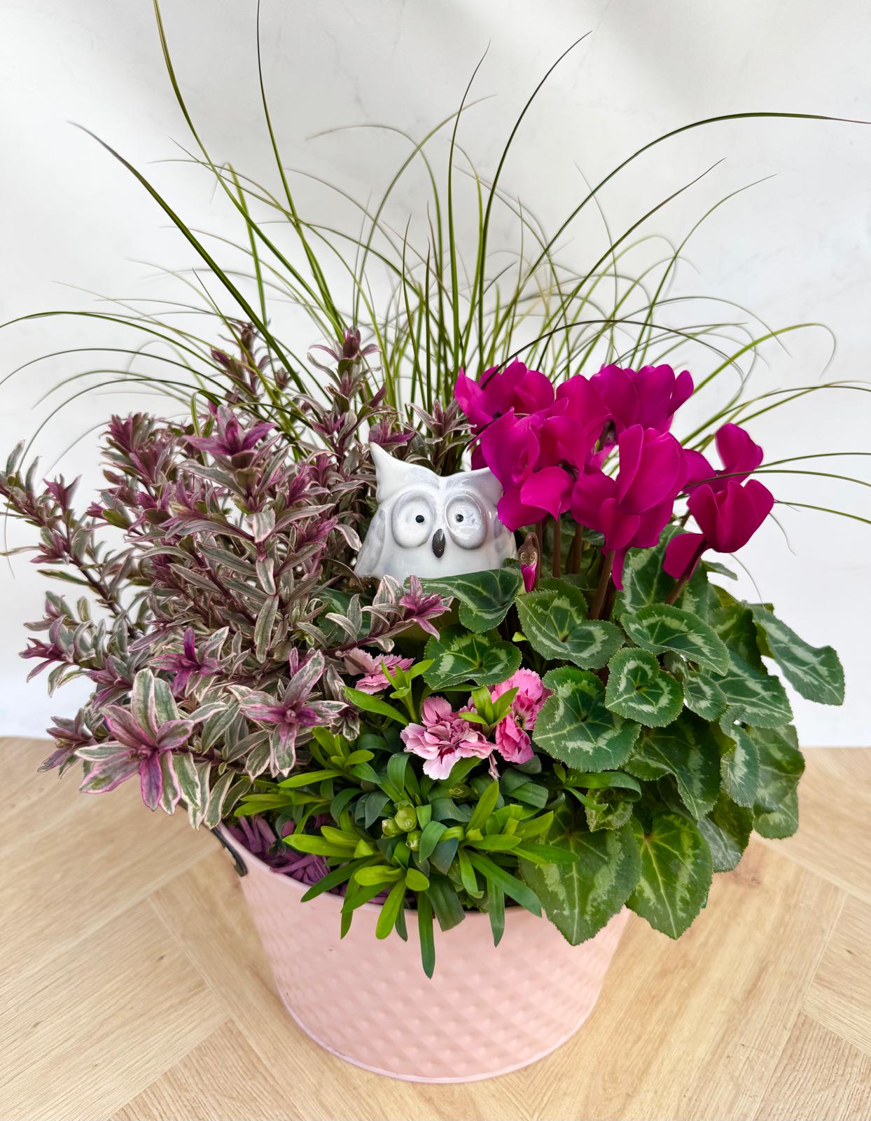 Composition Exterieure Automne<br> CEA07