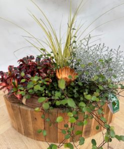 Composition Exterieure Automne<br> CEA06