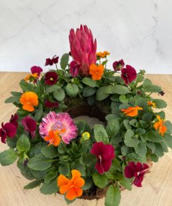 Composition Exterieure Automne<br> CEA01