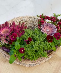 Composition Exterieure Automne<br> CEA05