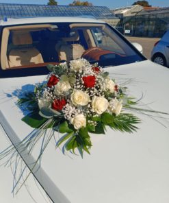Ventouse voiture « Classique rouge blanc »<br> Réf : DV012