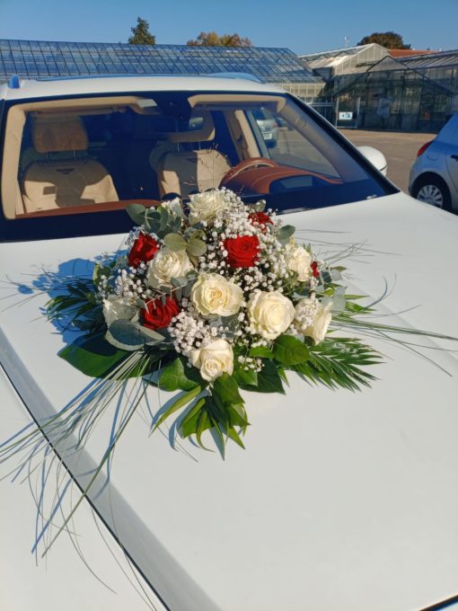 Ventouse voiture « Classique rouge blanc »<br> Réf : DV012