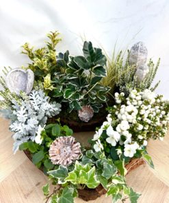 Composition Exterieure Automne<br> CEA03