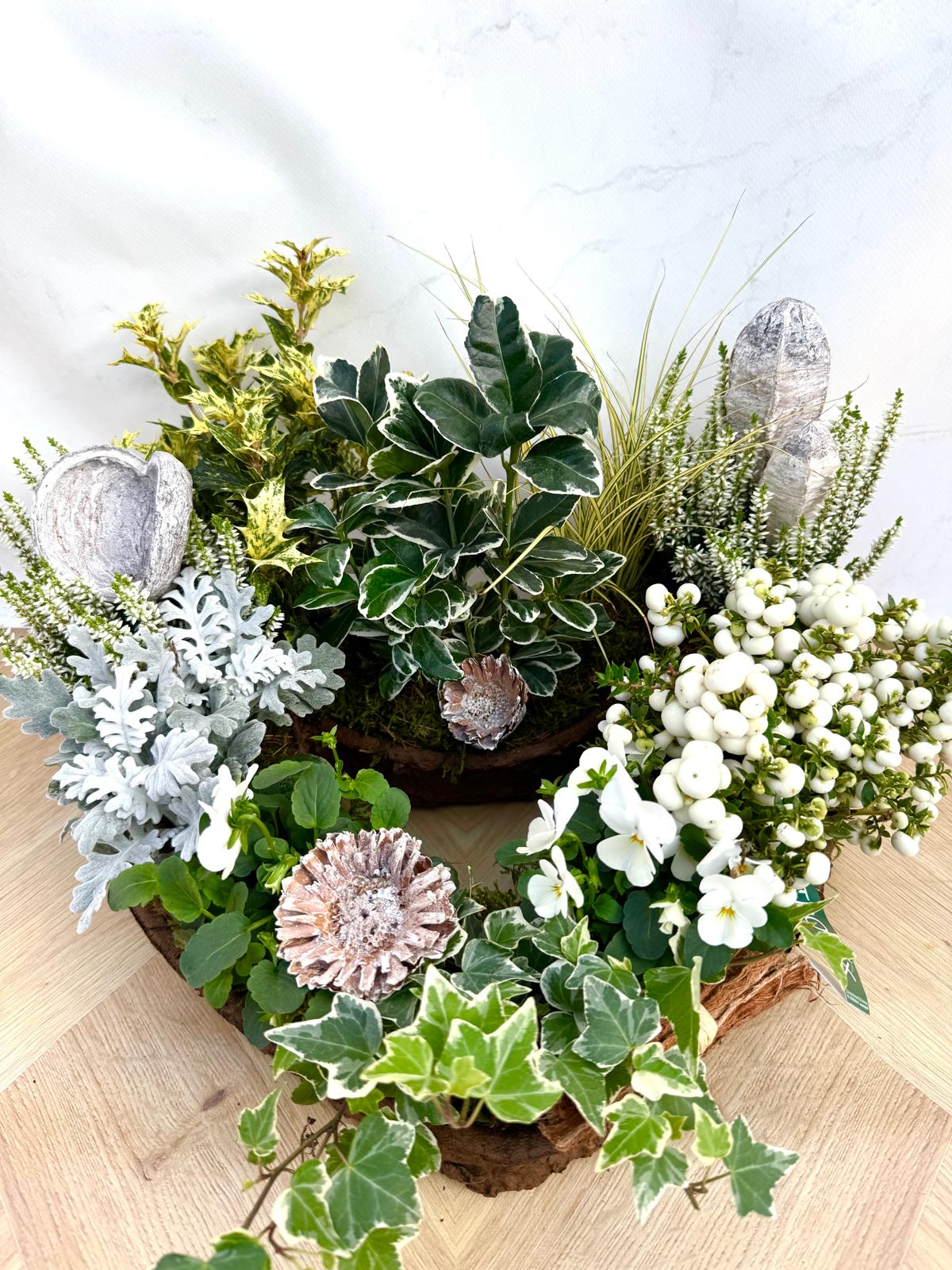 Composition Exterieure Automne<br> CEA03