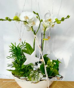 Compositions orchidée « Noël » <br> Réf : CIN013