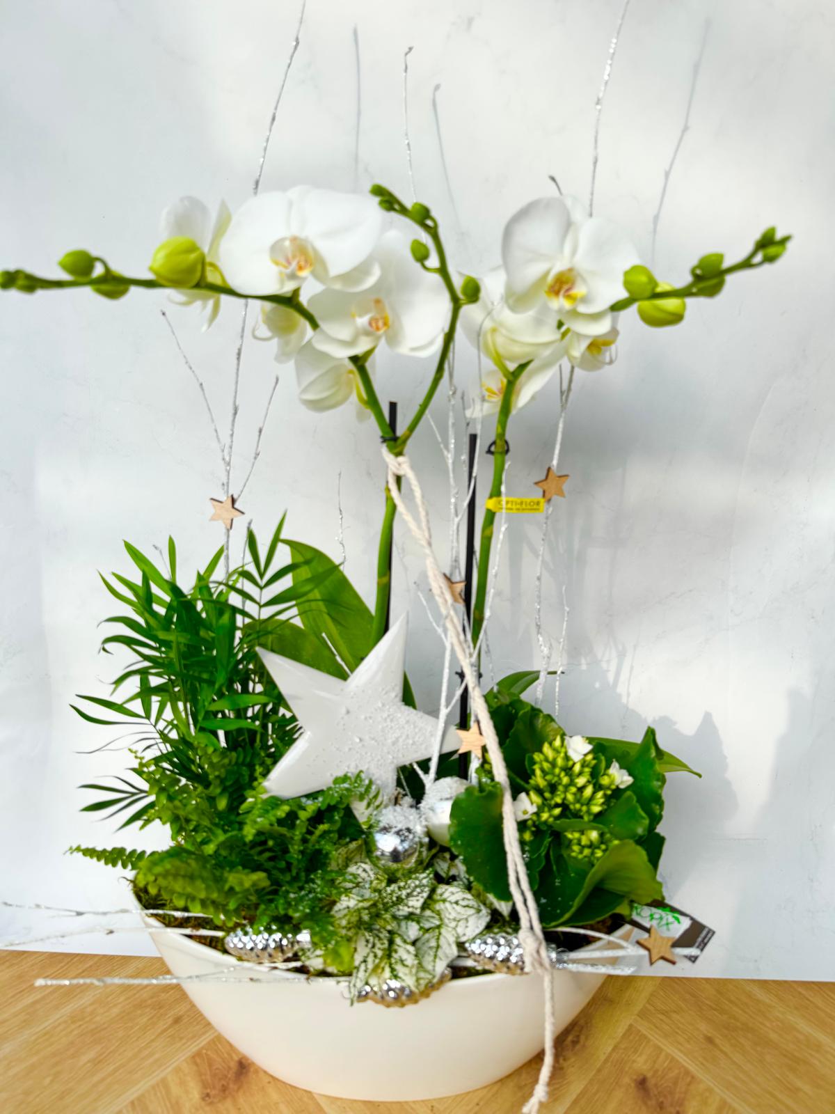 Compositions orchidée « Noël » <br> Réf : CIN013