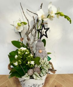 Compositions orchidée « Noël » <br> Réf : CIN014
