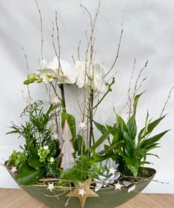 Compositions orchidée « Noël » <br> Réf : CIN015