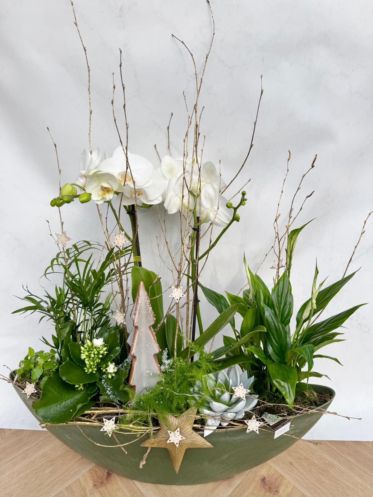 Compositions orchidée « Noël » <br> Réf : CIN015