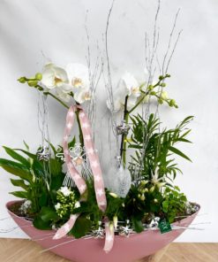 Compositions orchidée « Noël » <br> Réf : CIN016