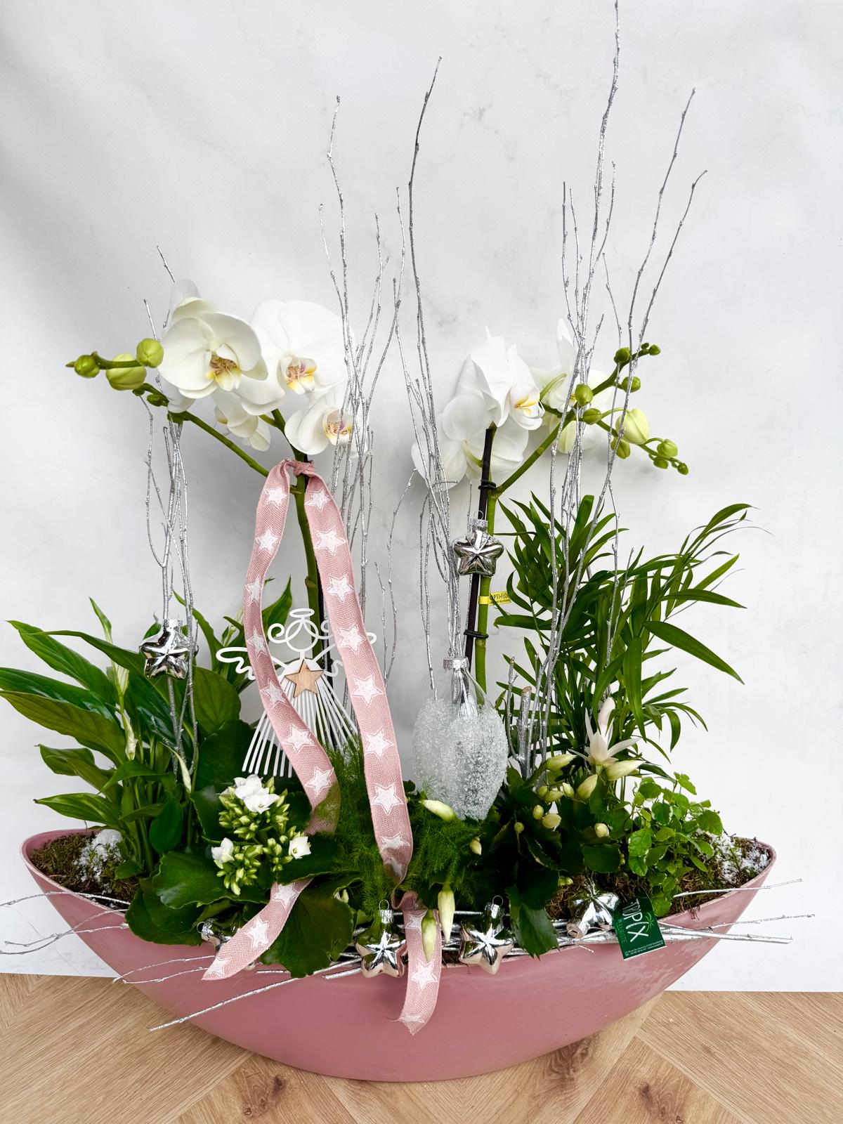 Compositions orchidée « Noël » <br> Réf : CIN016