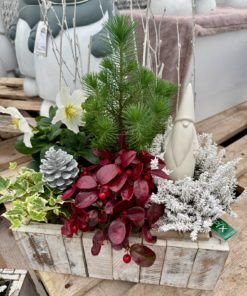 Composition Extérieure <br> Ref : CEN006