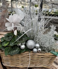 Composition Extérieure <br> Ref : CEN007