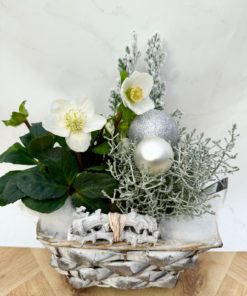 Composition Extérieure <br> Ref : CEN011