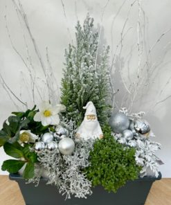 Composition Extérieure <br> Ref : CEN010