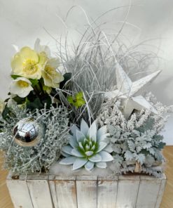 Composition Extérieure <br> Ref : CEN009