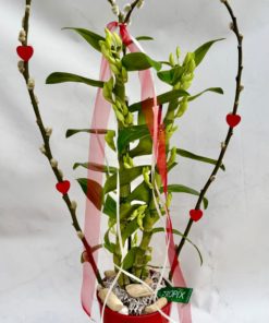 Composition interieure COEUR <br> CIC003