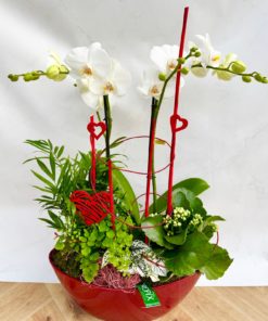 Composition interieure COEUR <br> CIC001