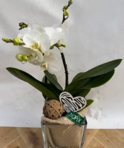 Composition interieure COEUR <br> CIC005