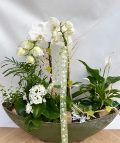 Composition Orchidée <br> CO10