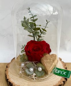 Roses éternelles <br> Réf : RE004