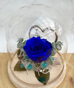 Roses éternelles <br> Réf : RE005