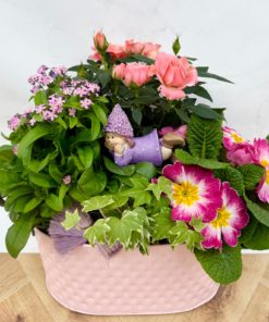 Composition Extérieure Printanière<br>CEP022