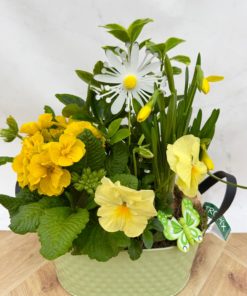 Composition Extérieure Printanière<br>CEP025