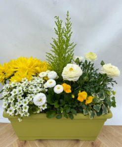 Composition Extérieure Printanière<br>CEP029