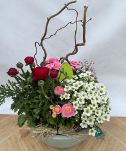 Composition Extérieure Printanière<br>CEP032