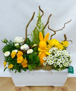 Composition Extérieure Printanière<br>CEP030