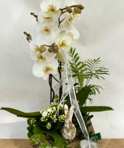 Composition Orchidée PAQUES <br> CO16