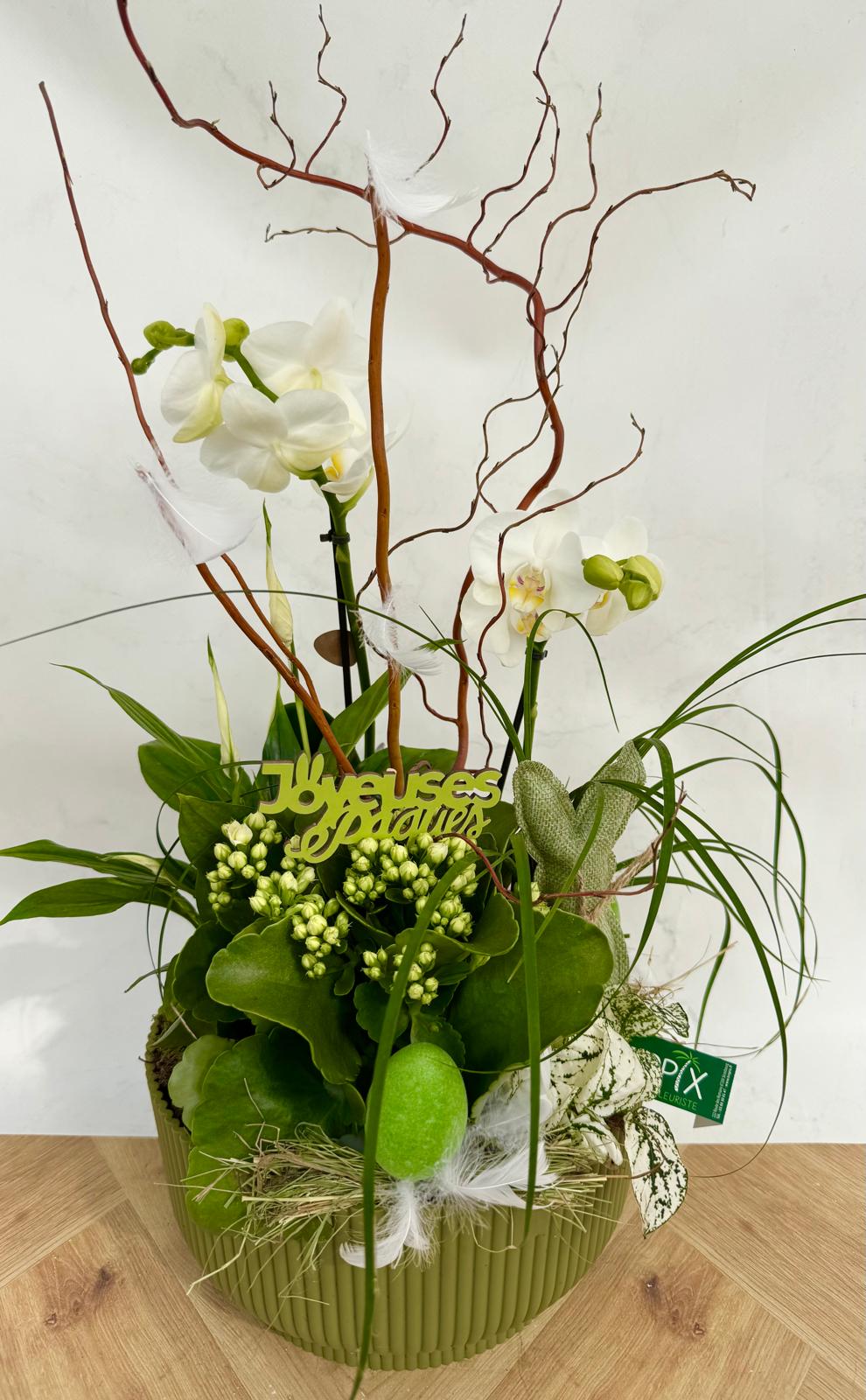 Composition Orchidée PAQUES <br> CO14