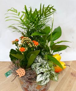 Composition Intérieure Automne <br> CIN20