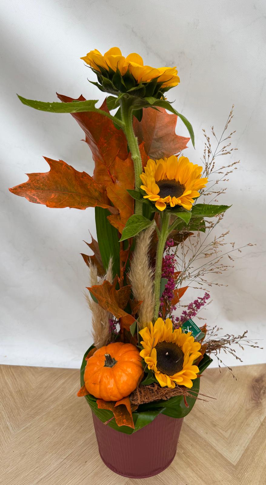 Composition haute Automne<br> Réf : BS017