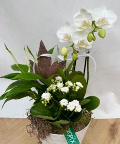 Composition Orchidée AUTOMNE<br> CO15